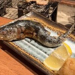 炉端×寿司 裏福島 Hana/Robata×Sushi Hana Osaka - 