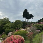 サロン・ド・テ ロザージュ - 