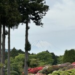 サロン・ド・テ ロザージュ - 