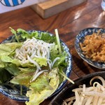 大衆酒場 みやにしテツオ - サラダとお漬物