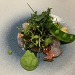 luogo - 高知　西山さん　まめこぞう　千葉　金目鯛