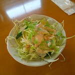 インディアン・レストラン　ロタ - サラダ