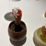 ラ・ヴァガボンド - 