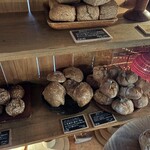 パンストック - 