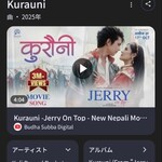 ネパール民族料理店 ネワーダイニング - BGMはコテコテのネパールミュージックでした。