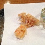Tsukumo - 海老殻　足