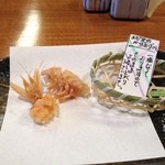 Tsukumo - 海老殻　尾