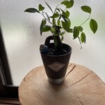 古民家cafe kiara - 