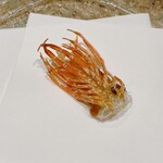 鮨 うら紀 - 車海老の足の素揚げ②