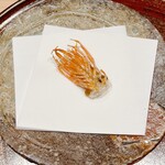 鮨 うら紀 - 車海老の足の素揚げ①