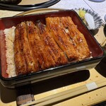 うなぎ 目白ぞろ芽 - 