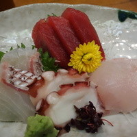 浅草 魚料理 遠州屋 - 刺身盛り合わせ定食