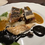 ビステリア サトッロ - 