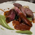 ビステリア サトッロ - 