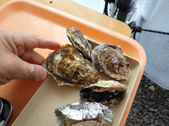 牡蠣小屋りょうちゃん - 播州赤穂/海鮮 | 食べログ