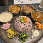 Curry Spice Gelateria KALPASI - 