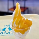 バーズカフェ - 料理写真:マンゴーソフト