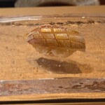 鮨　いの - 長浜　春子鯛