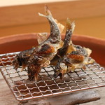 松川 - 和歌山の子持鮎　(2014/11)