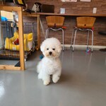 カフェアンドダイニング デイズ - 