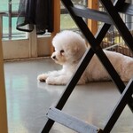 カフェアンドダイニング デイズ - 