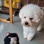 カフェアンドダイニング デイズ - 