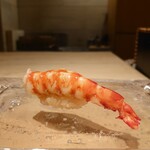 鮨　いの - 車海老～♥(人*´∀｀)♡