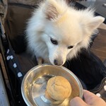 ヴァジ スパイス - 