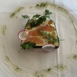 ツキ シュール ラメール - 