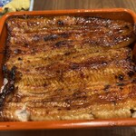 うなぎ 魚政 - ご飯が見えない大きな鰻。見た目から最高です！