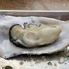 モトかき養殖場 - 蒸し牡蠣