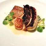 THE COSMOPOLITAN GRILL BAR TERRACE - 