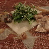 麻布淺井 - とらふぐのサラダ仕立て