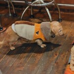 タコス エル ノパル - 