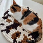 小鍋立て専門 なべしろ - 本日のキャット様☆大満足！