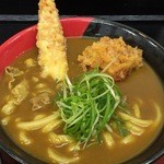 極楽うどん TKU - レディースカレーうどん（アップ）