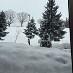 ガーデンラウンジ - 窓から雪景色