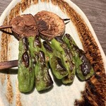 야키토리야 shin 히요코 신바시점