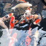 炭焼うな富士 - 