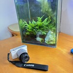 かわしま cafe おあしす - 