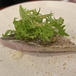 CIVIDALE - 〈前菜1〉神奈川県 天然鮮魚のカルパッチョ、この日の魚はサヨリだった。身が厚くてもしっとりしてて上に乗ってるかわさび菜との相性が抜群にいい。