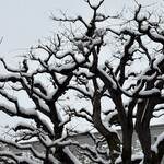 ミクスチャー - 