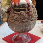 カカオサンパカ - 