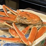 うを徳 - 越前ガニ