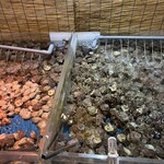 ちがさき倶楽部 - 