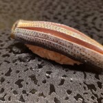 すゝき野 鮨金 - 