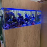 地鶏と沖縄琉球しゃぶしゃぶ 個室居酒屋 くろ凪 - 