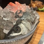 5 1/2 - 泣くなよ