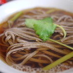 もり蕎麦や 助十郎 - 料理写真:幌加内産の幌みのりのかけ
