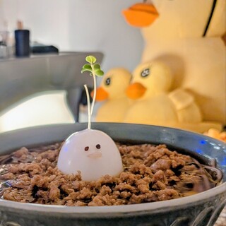 しめぱふぇと変なおそば ぴよるんぱ_1